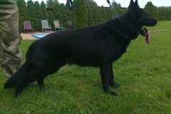 Emir stoj 1
