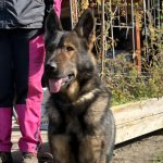 View Signal Aites Bohemia