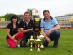 Grandfather Caddy's- TOP MALE KATO ARITAR BASTET - CHAMPION CZECH REPUBLIC!