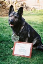 Connie Orthex - Champions Czech Republic,,