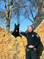 Brutus's - soon : reference -This is Nova he just certified in my home town Norwalk ct USA. He is certified in dual purpose and tracking. Out of the litter two are police dogs. Thus was very good working litter if you repeat this breeding please let me know in advance,
Best
David