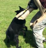 Wena bite 2 very hard female!