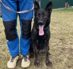 YALLA has an excellent pigment!!