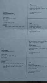 ARNY - CZECH PEDIGREE 1