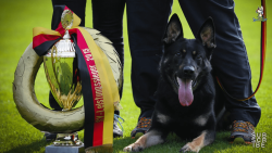 Bolle Ja Na Ka- champion of Germany!!