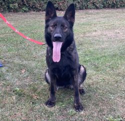 JARA picture 1- very big and strong Czech female