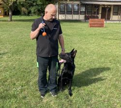 Gery solid black male- very big and strong