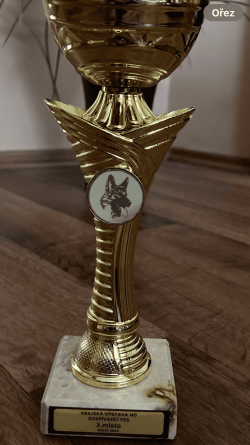 VOX - HE WON 3RD PLACE AT THE DOG SHOW!