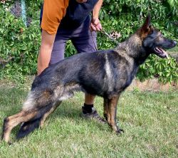 VOX - WHEN HE WAS 1 YEAR OLD