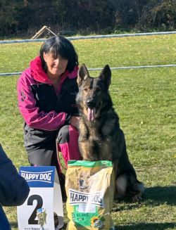 Signal Aites Bohemia